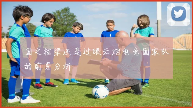 国之栋梁还是过眼云烟电竞国家队的前景分析